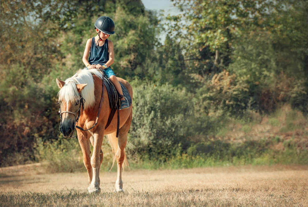 dziewczynka na koniu